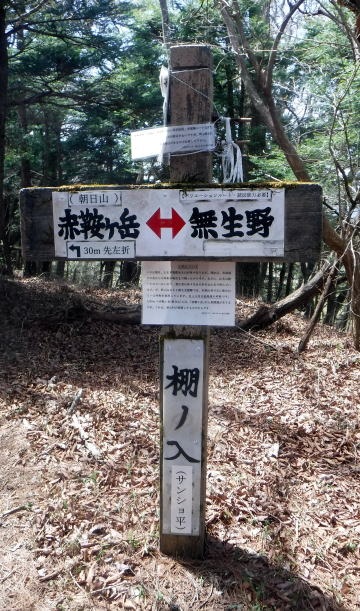 2023.4.16 二十六夜山(尾根歩き)