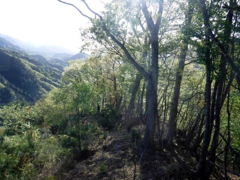 2023.4.16 二十六夜山(尾根歩き)