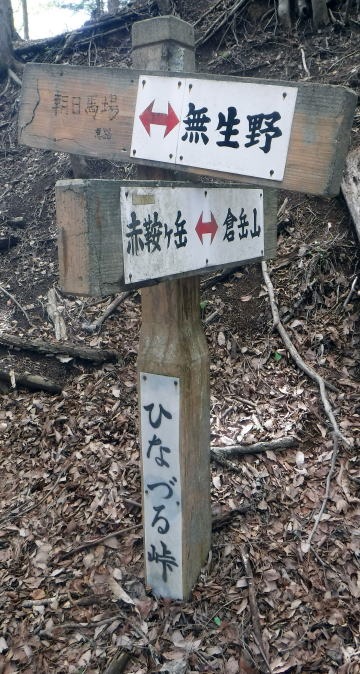 2023.4.16 二十六夜山(尾根歩き)