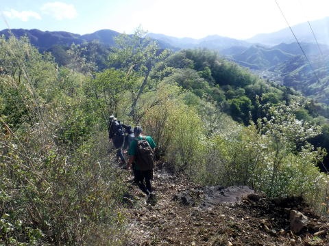 2023.4.16 二十六夜山(尾根歩き)