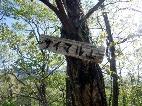 2023.4.16 二十六夜山(尾根歩き)