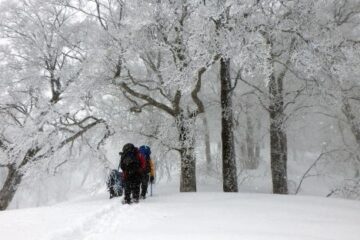 2019.3.23-24　タカマタギ（雪山）