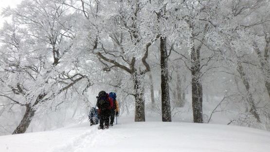 2019.3.23-24　タカマタギ（雪山）