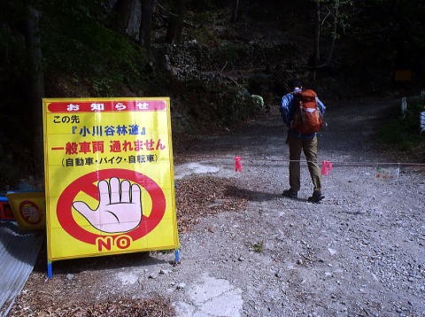2023.4.23 天目山ハンギョウ尾根(尾根歩き)