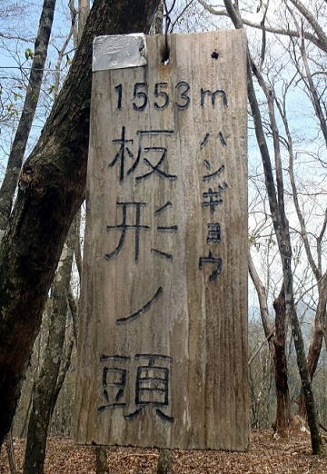 2023.4.23 天目山ハンギョウ尾根(尾根歩き)