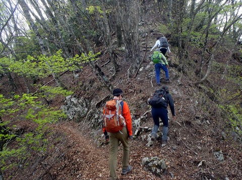 2023.4.23 天目山ハンギョウ尾根(尾根歩き)