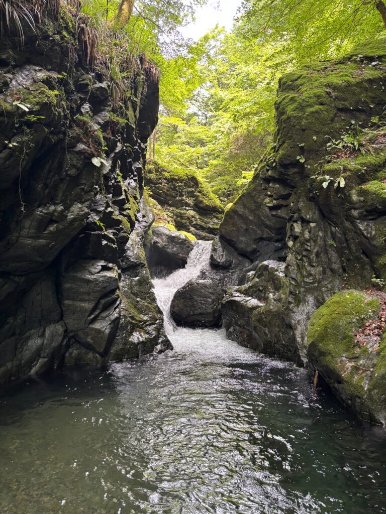 2026.7.26 倉沢(奥多摩)(沢登り)