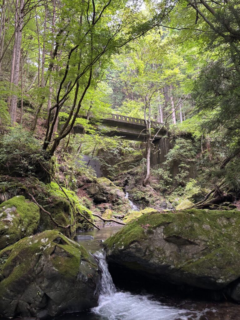 2026.7.26 倉沢(奥多摩)(沢登り)