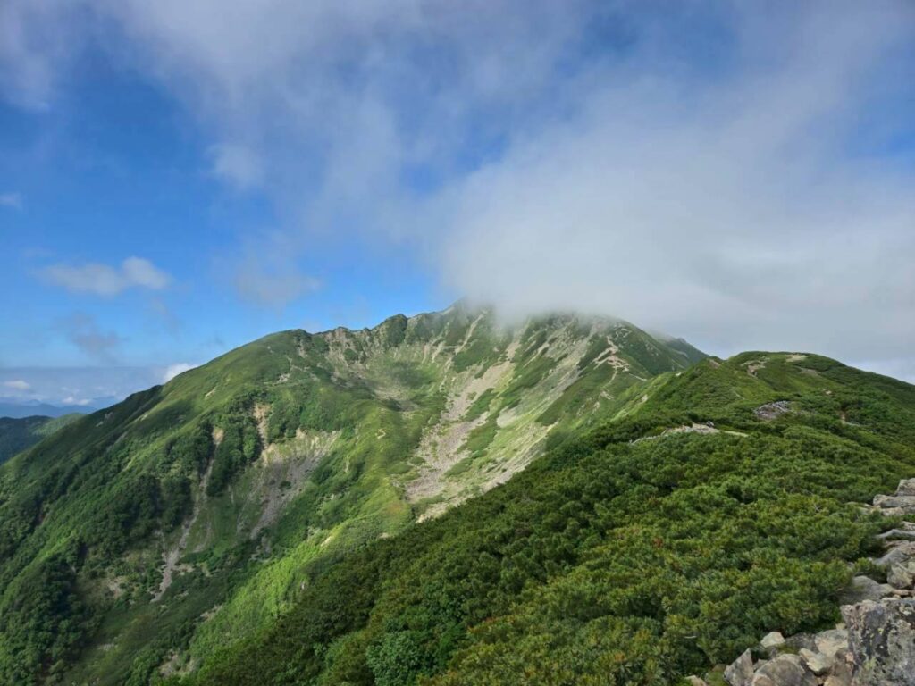 2026.7.19 仙丈ケ岳（尾根歩き）