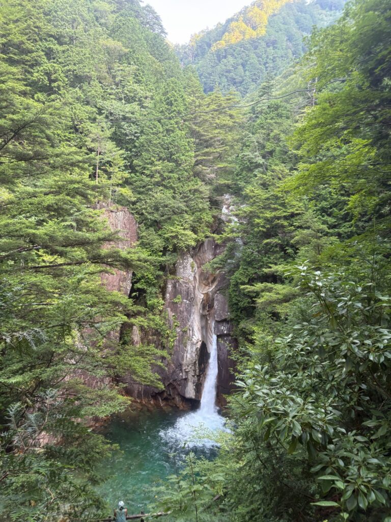 2026.8.2 柿其川本流