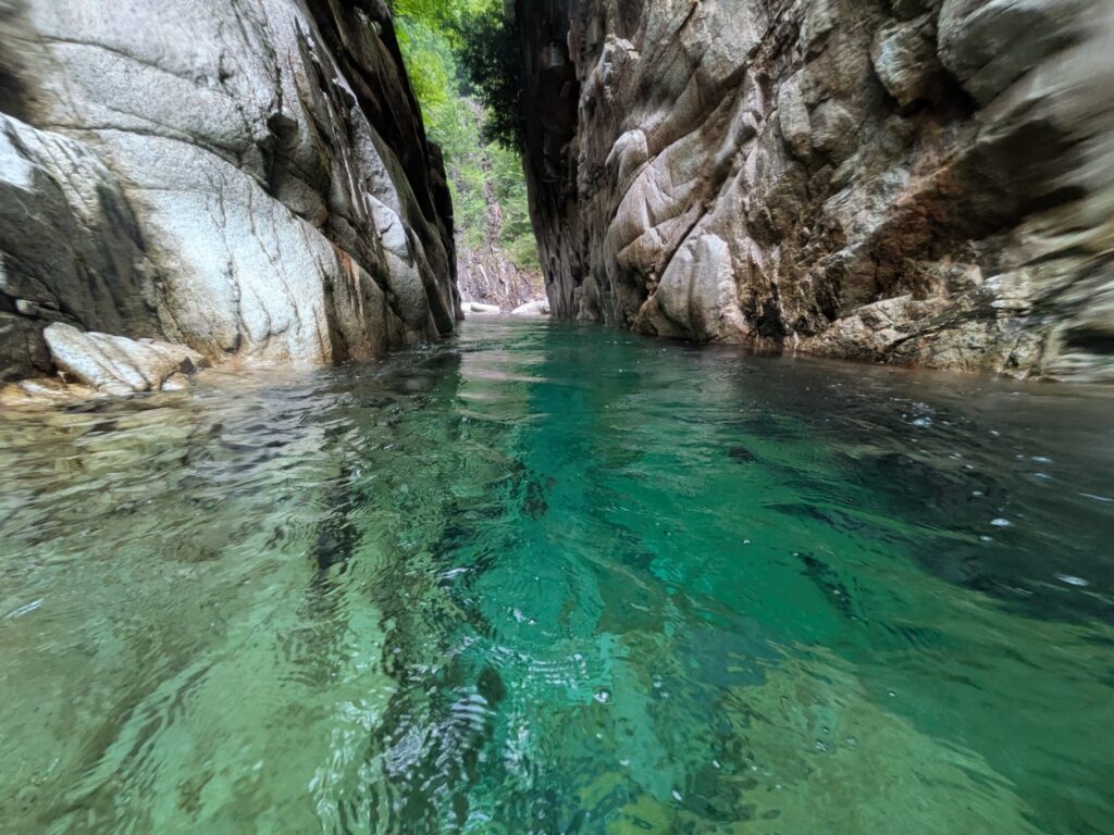 2026.8.2 柿其川本流