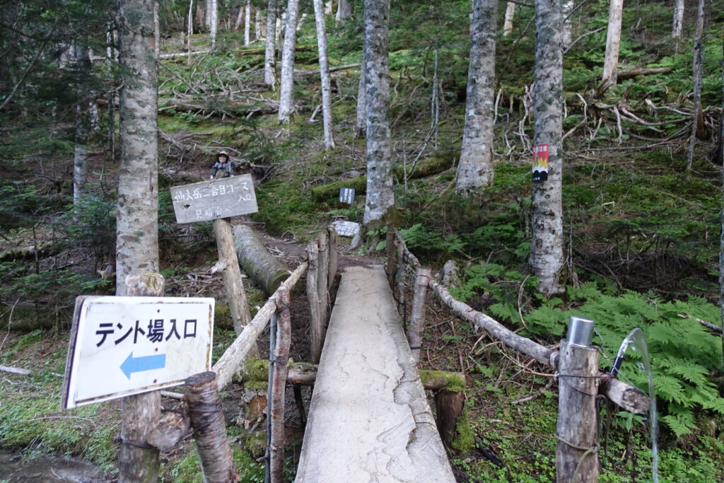 2026.7.26 仙丈ヶ岳(尾根歩き)