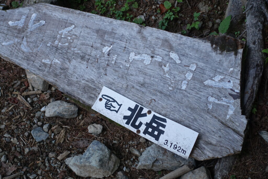2026.7.26 仙丈ヶ岳(尾根歩き)
