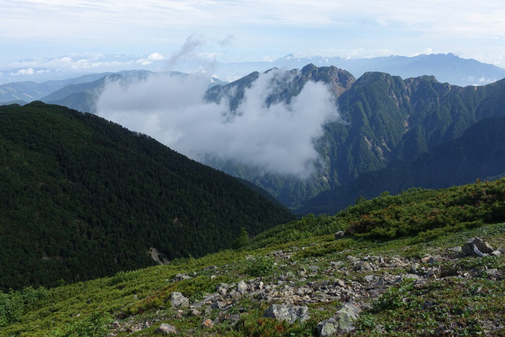 2026.7.26 仙丈ヶ岳(尾根歩き)