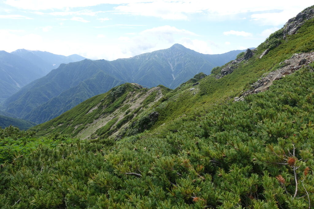 2026.7.26 仙丈ヶ岳(尾根歩き)