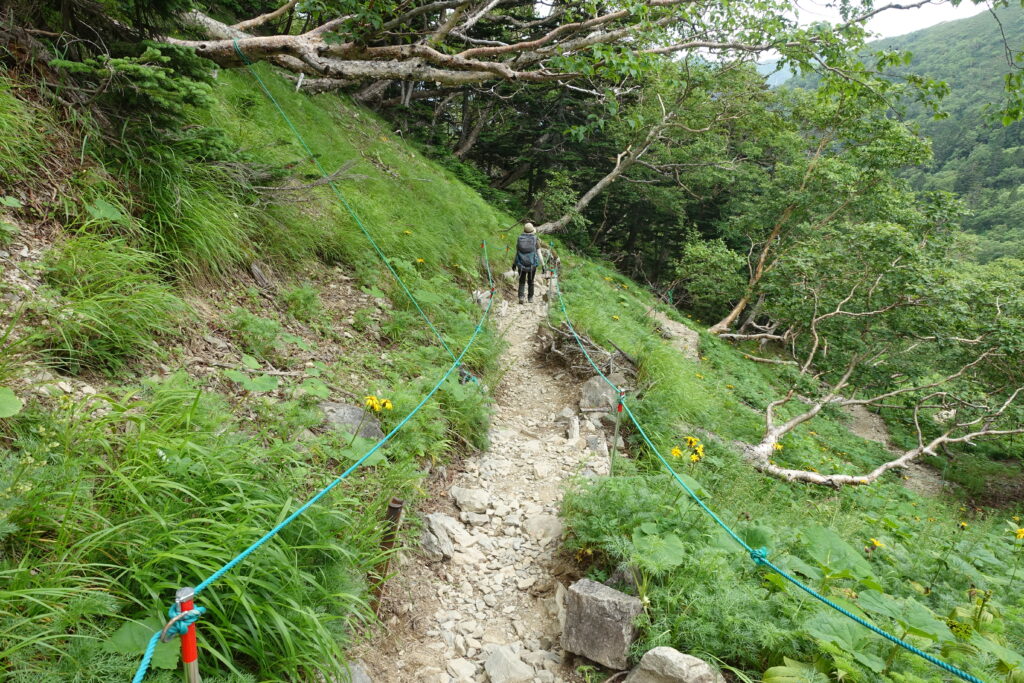 2026.7.26 仙丈ヶ岳(尾根歩き)