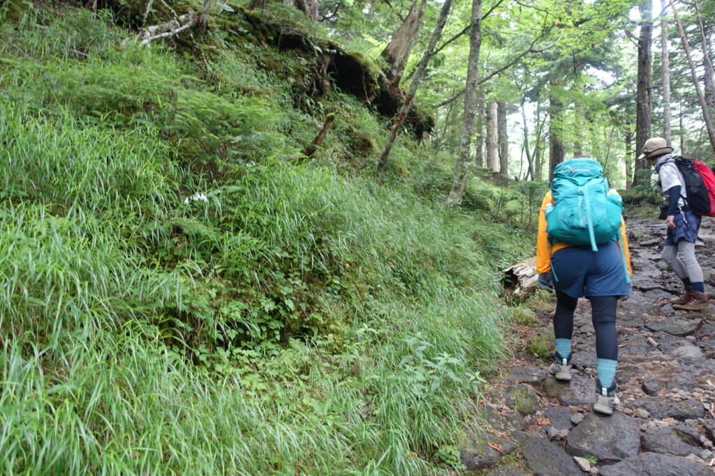 2026.08.02 富士山経ヶ岳(五合目佐藤小屋まで)(ハイキング)