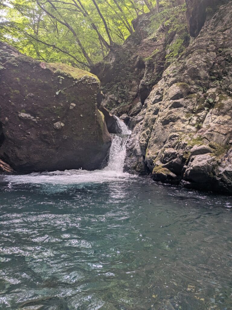 2026.8.5 庚申川本流(下部)(沢登り)