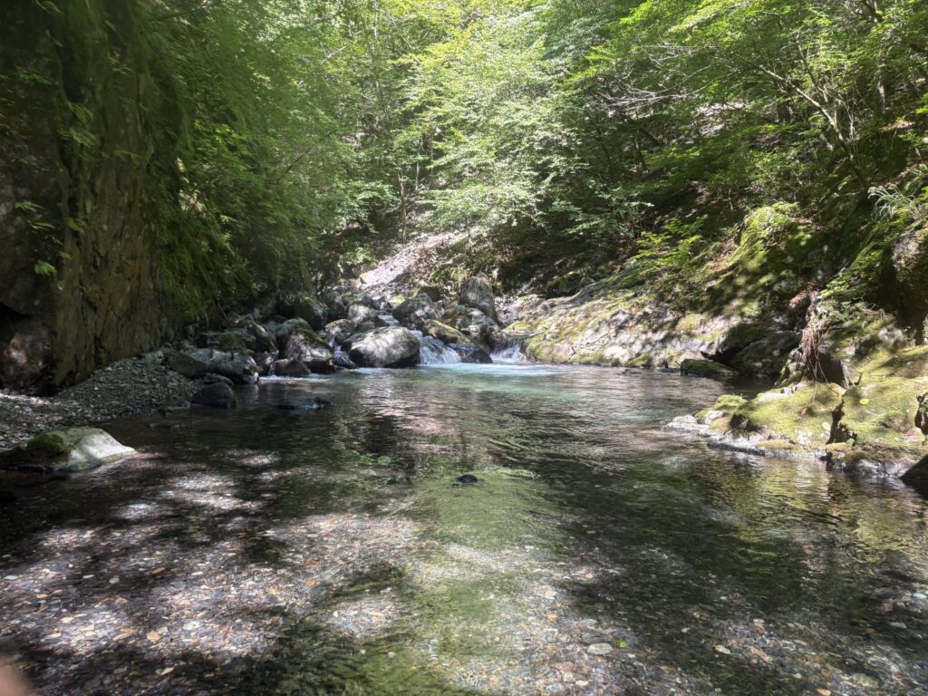 2026.8.5 庚申川本流(下部)(沢登り)