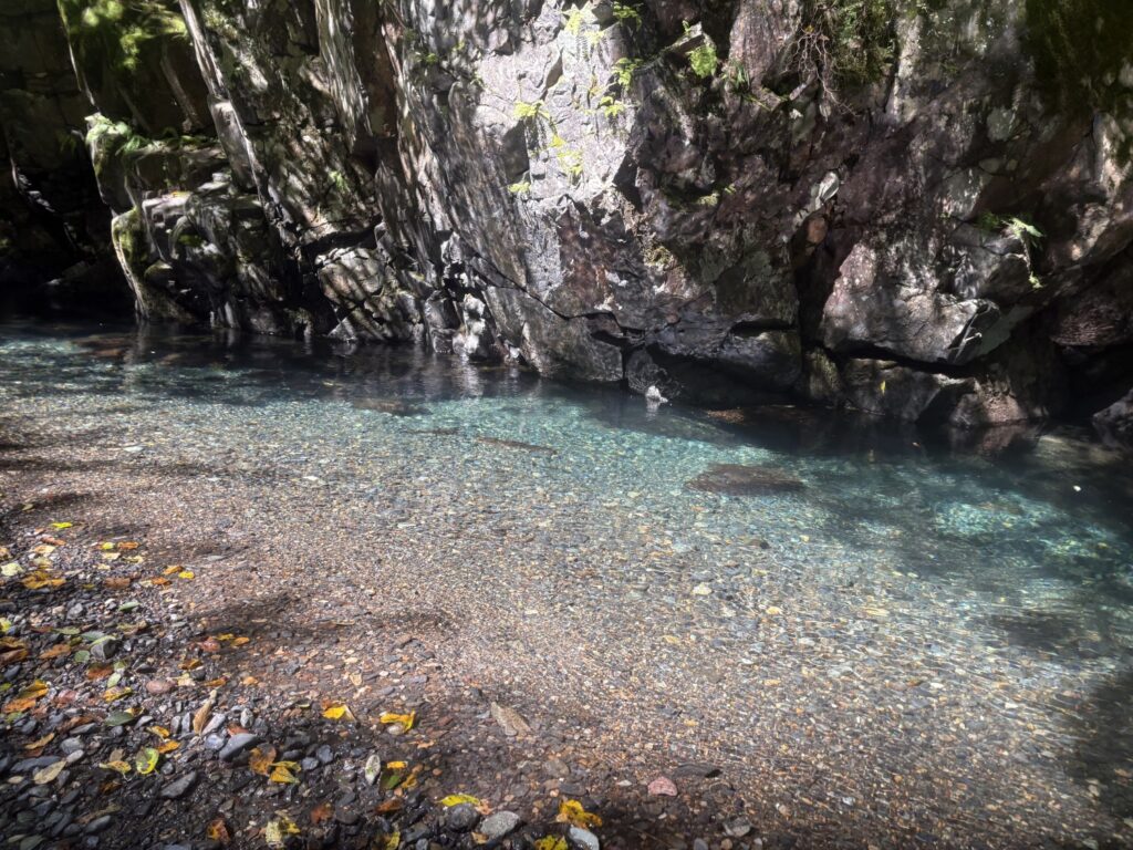 2026.8.5 庚申川本流(下部)(沢登り)