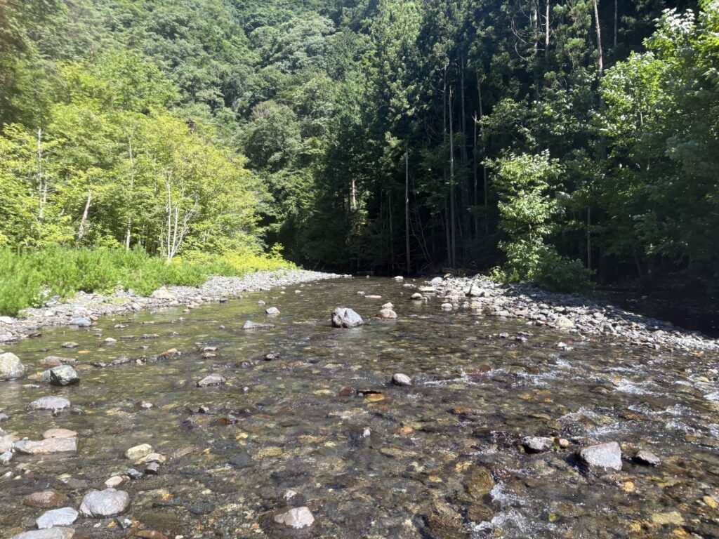 2026.8.5 庚申川本流(下部)(沢登り)