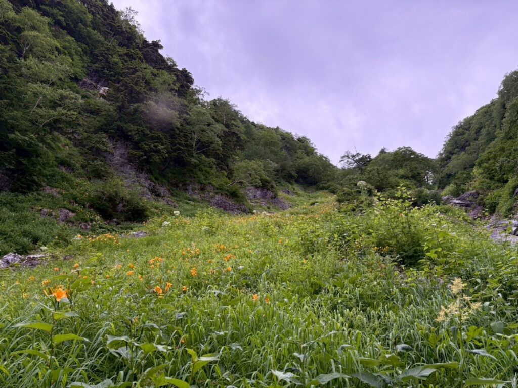2026.7.11-13 北鎌尾根(バリエーション)