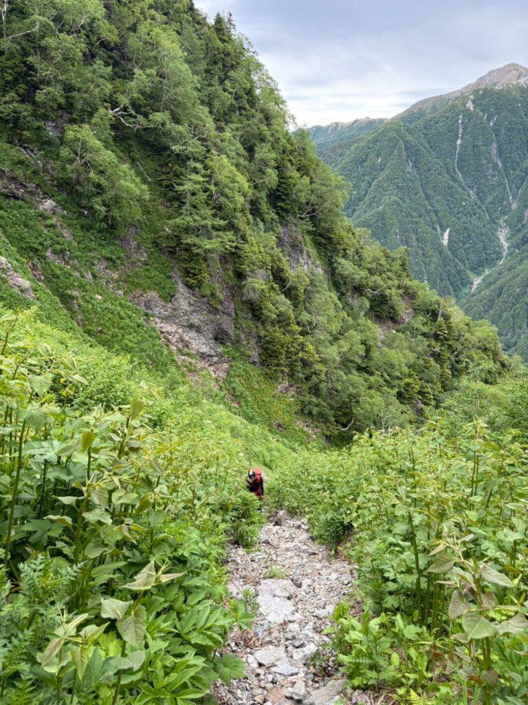 2026.7.11-13 北鎌尾根(バリエーション)